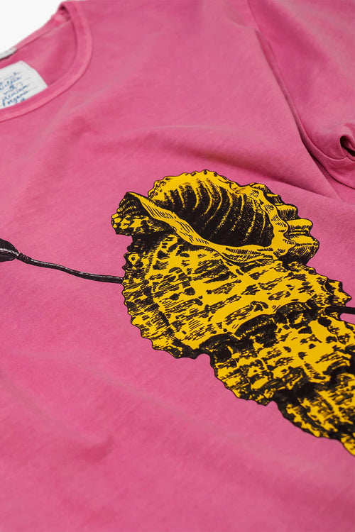 Camiseta Bonito rosa algodón orgánico hombre mujer estampado caracola mar